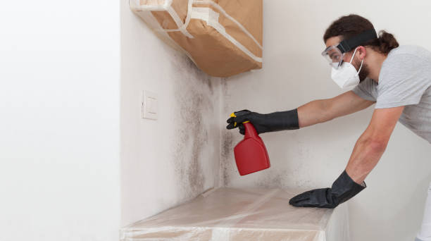 Professional Crawl Space Mold Remediation technician working in Rahway, NJ