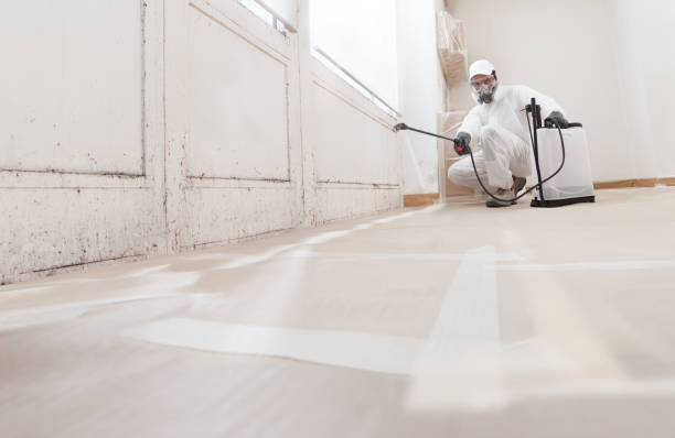 24/7 Emergency Crawl Space Mold Remediation experts in Rahway, NJ