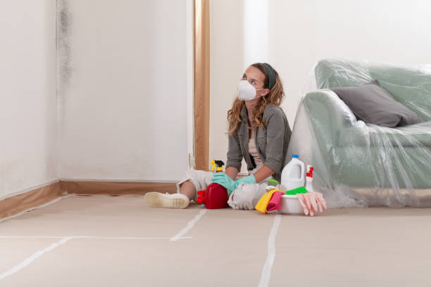 Reliable Crawl Space Mold Remediation contractor in Rahway, NJ by Mold Remediation HQ